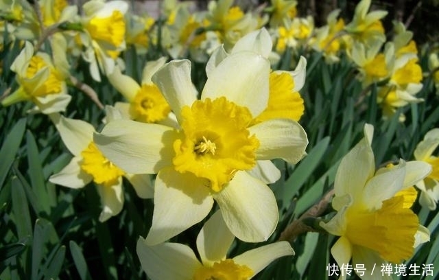 冷静|7.15-17星座运势:金牛保持冷静,天秤魅力四射,水瓶另眼相看