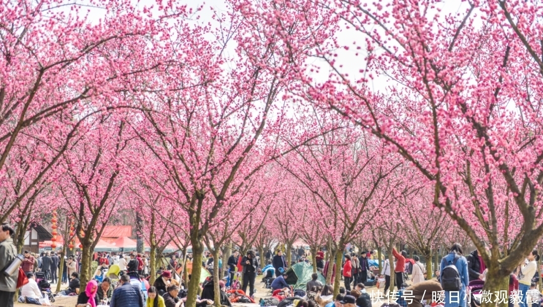浅谈|浅谈秀丽东方IP对成都公园城市建设的借鉴作用
