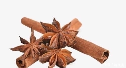 放在|白酒加八角泡一泡,放在家里天天都用得上,早点知道就好了