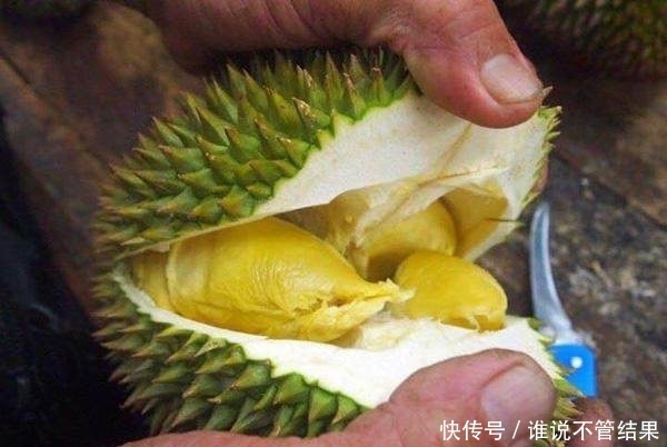 超市|在超市买回只有一只手掌大小的榴莲,剥开一看后,结果让人吃惊
