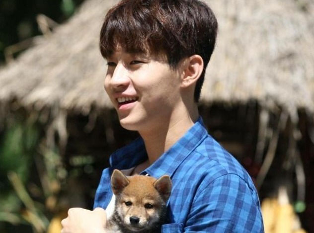  画风|《向往4》更新宣传片，张子枫扛梯子飞奔，蘑菇屋画风跑偏太沙雕