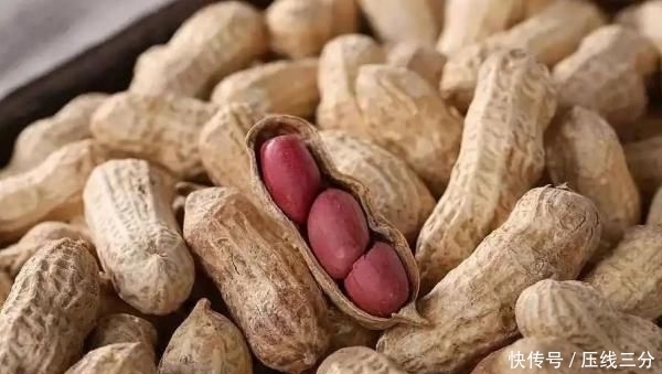 免疫力|如何吃到人体必需的营养元素