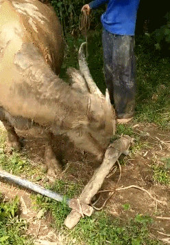 GIF|搞笑GIF:好可爱的姑娘