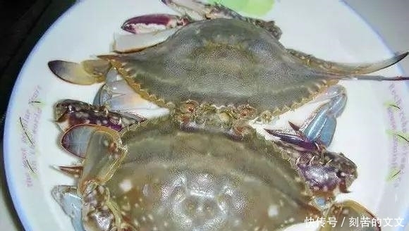 认出|海鲜大全, 你能认出多少