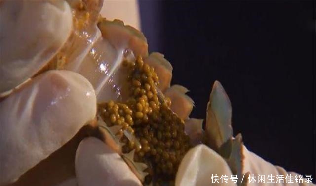 混养|水池中混养龙虾,学会这几招,不赚钱都不行