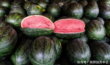 西瓜|爱吃瓜的你知道瓜是从哪里来的吗！