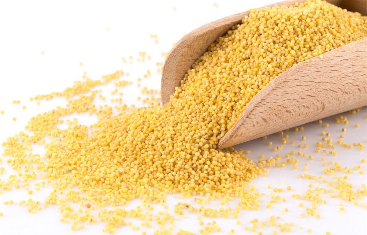 酿制|糯小米酒的酿制方法是什么?有哪些功效与作用?