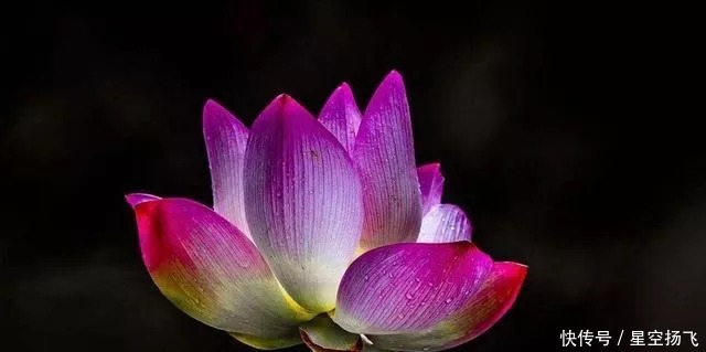 幸福|近两年幸福不请自来的生肖,后半生幸福满满