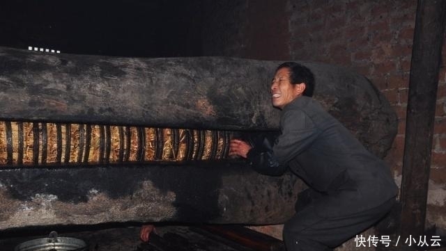 茶果|这种“油果子”,烂在地上的也有人要,碾压打磨,成品上百元一斤