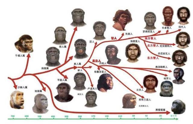  哺乳动物|地球上原本没有人，那第一个人是怎么出现的
