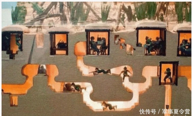 越南|越南小伙野外发现神秘洞口,进去后感叹:怪不得美军打不赢