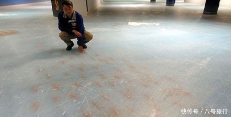 栩栩如生|溜冰场冰下有鱼,栩栩如生游来游去,游客凑近细看,被气的发抖!