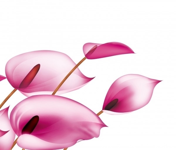 财源滚滚|从下周开始，将财源滚滚好运连连，生活幸福甜蜜的4大生肖