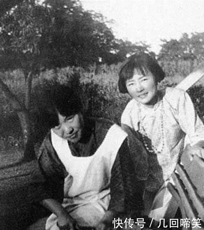 起因|和林徽因做邻居是种怎样的体验? 杨绛对她不满, 起因是两只猫