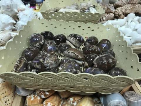 这家|这家店卖了3年的“假鲍鱼”,曝光后生意更好,顾客说出了原因