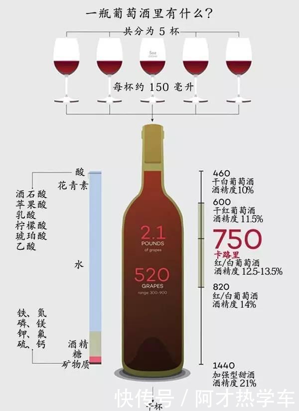 葡萄酒|6 条葡萄酒入门小常识,非常实用!