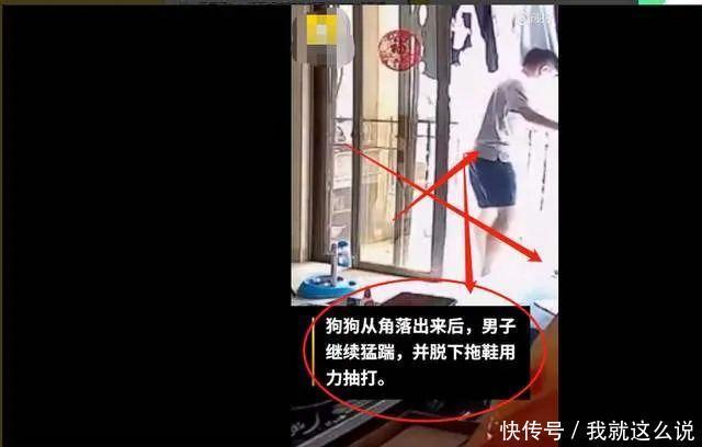 成才|准研究生虐狗:你成才了,却没有成人!