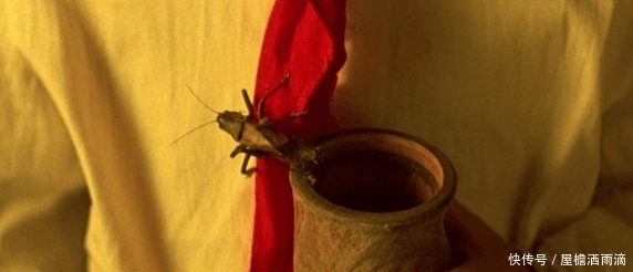  故宫|溥仪晚年回到故宫坐龙椅, 从龙椅下拿出当年藏的东西, 孩子都笑了