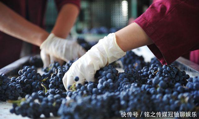 尽量|4种被列入“黑名单”的水果,尽量别去碰,最后1种吃了会“上瘾”