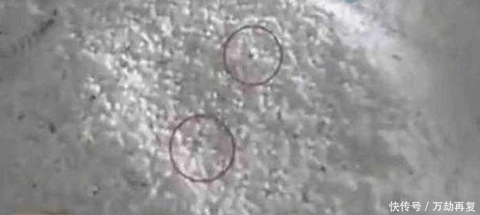 恶心|它比地沟油更恶心! 很多人还喜欢吃, 市场供不应求!