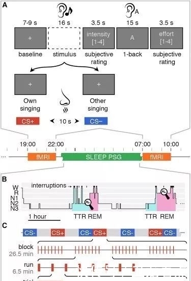 研究|一项听自己唱歌的研究揭示:睡眠差导致情感记忆处理能力变差……