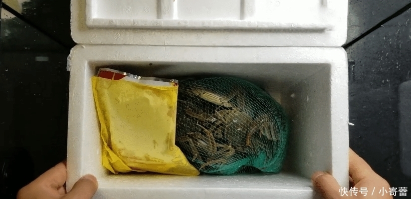 男子|男子上拼多多买“1元蟹”,一次买了99元,开箱后:真没发错货?