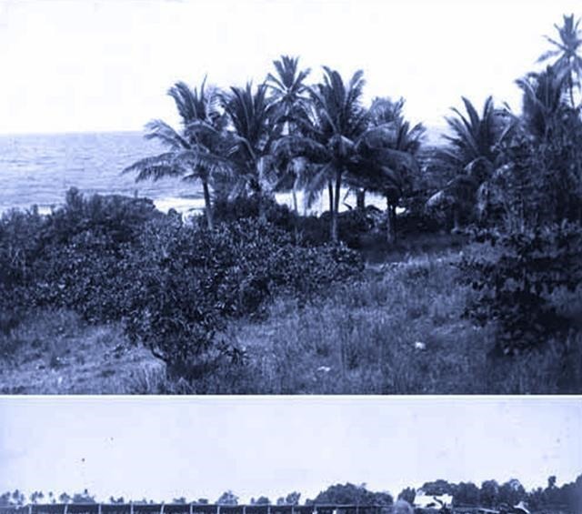  巴纳巴岛|被遗忘的民族家园被占领亲人被屠杀，流落他国想回不能回