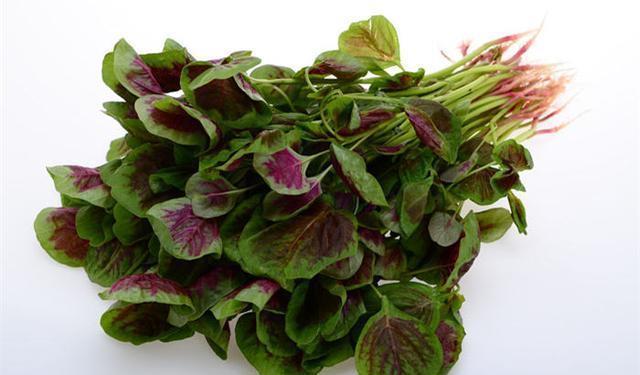 草酸|这几种菜做之前一定要焯水,吃坏了身体事儿就大了!