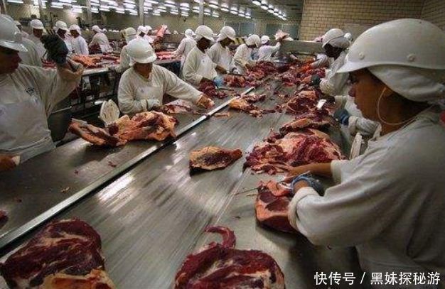 数字|康师傅方便面每年能用多少头牛?看到数字后让人意外!