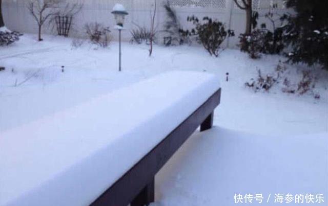 图片|30张完美的图片,强迫症患者:爽翻了!