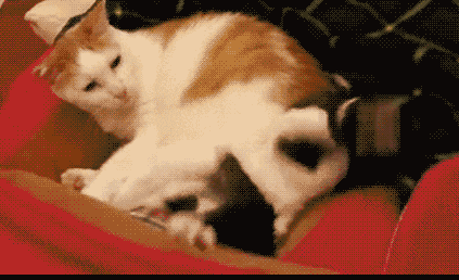 搞笑|搞笑GIF:现在都流行划船送餐,没两把刷子你都不敢上船