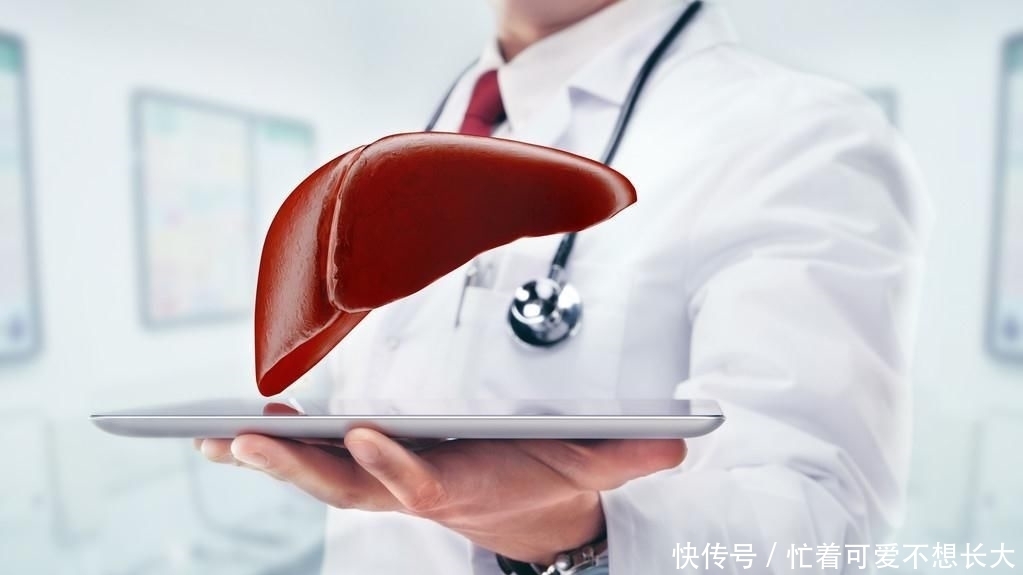 修复|它是天然强肝王，没事多吃，修复肝细胞，肝脏可能会报答你