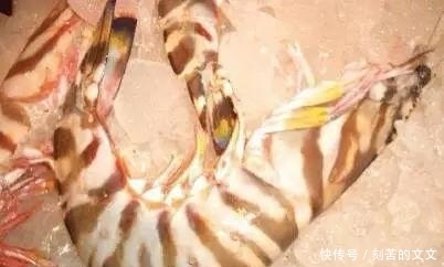 认出|海鲜大全, 你能认出多少