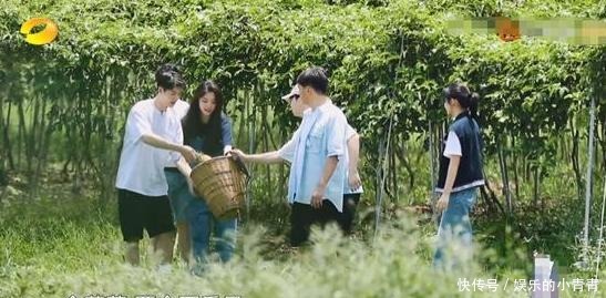 可怜|《向往》本季最尴尬嘉宾,全程手足无措无处插话,镜头少的可怜