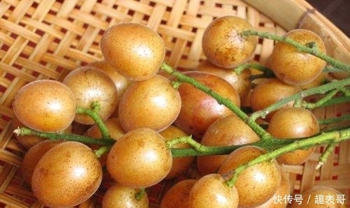 健康|七月,遇到这碱性水果别错过,做成零食美味又健康,别不懂吃!