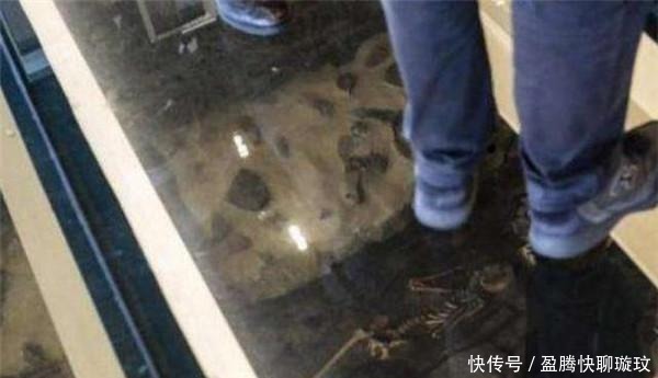  古墓|全球唯一一家透明地板的麦当劳，低头看看脚下，你还吃得下汉堡吗