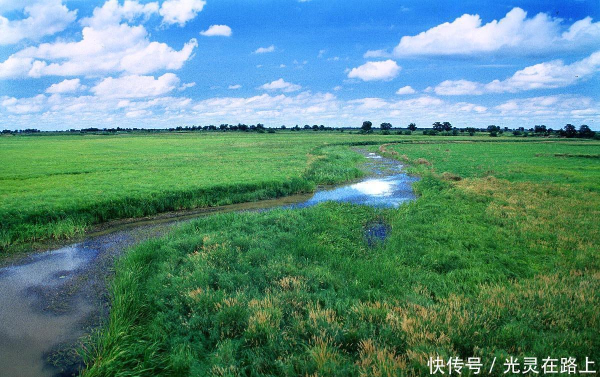 嫩江|映像中国—这里被称为“丹顶鹤之乡”,这里有众多湿地保护区景观