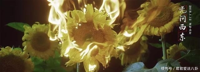  西东|《芳华》被《无问西东》完美碾压, 是一种什么样的感觉?