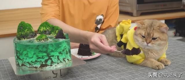 海岛|绝了日本小哥做出以假乱真的海岛果冻蛋糕,网友我和猫都惊了