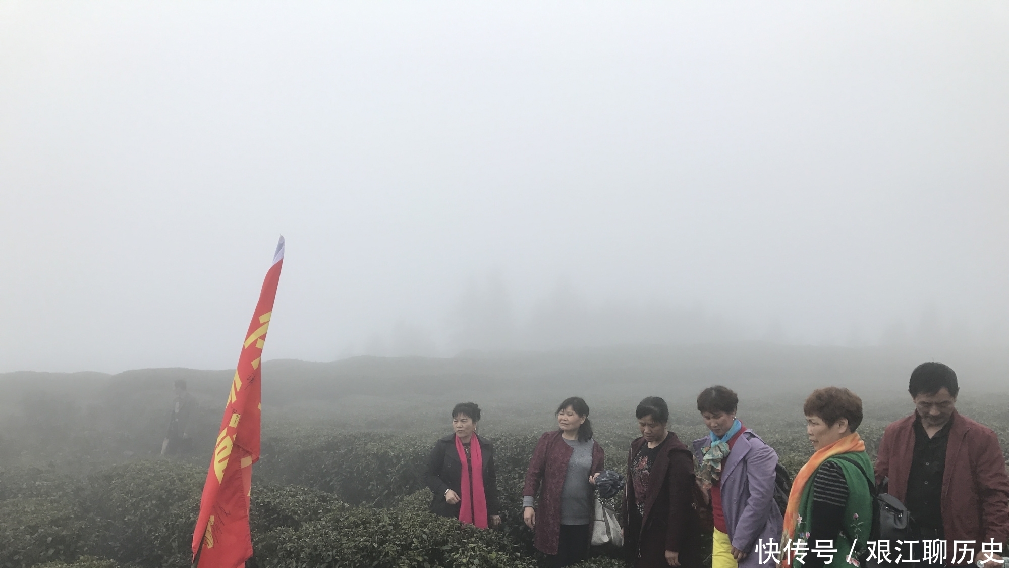  蹉跎岁月|青云观知青开山劈路 大叶茶培育造福一方……蹉跎岁月精神永存