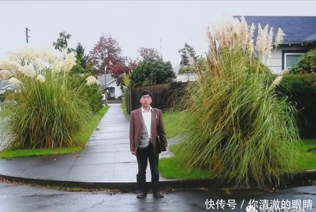 空军|李永军诗歌:向空军八一军徽敬礼