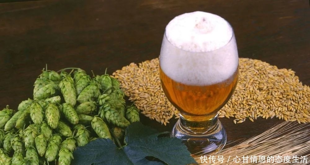 保质期|酒知识︱酒可以存放多长时间?