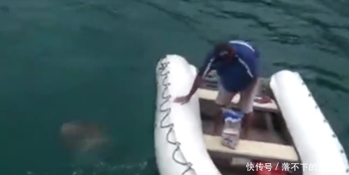  水中|水中扔面包片引来大鱼，手拿一片面包水中摇晃，空手抓到奇怪大鱼