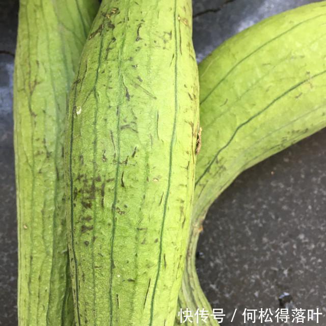 好喝|鲍鱼鸽肉丝瓜汤，营养丰富，鲜美好喝