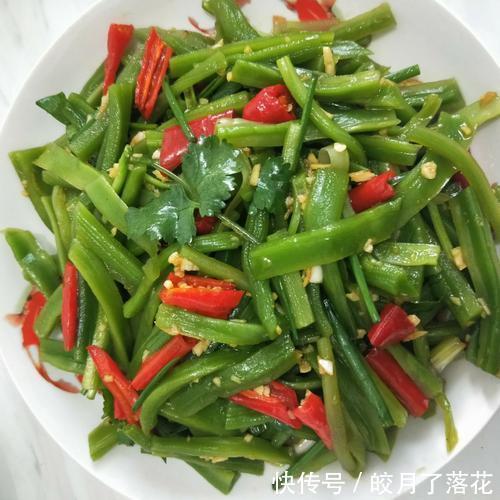 沦为|差异大！在南方农村沦为猪食的蔬菜，北方比牛肉还贵，却很受欢迎