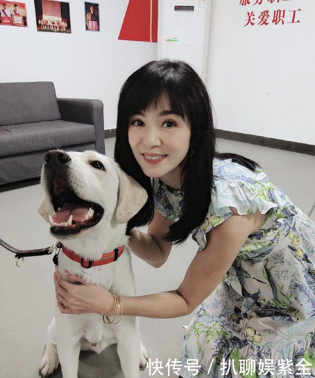  迟暮|美人不迟暮！杨采妮的图集