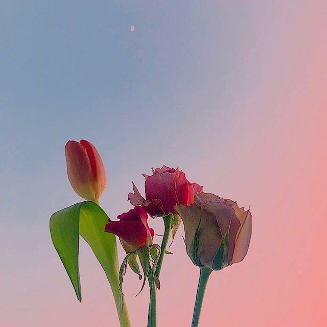 看完|乐观积极向上的唯美句子,看完让人醍醐灌顶!