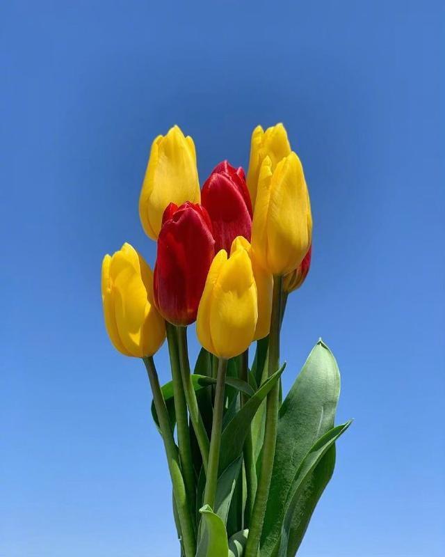 迷人|朋友圈超迷人的早安句子,干净治愈,沁人心脾!