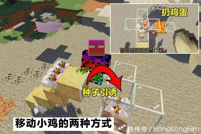 玩家|我的世界：设计巧妙的小鸡农场，从鸡蛋到熟鸡肉，全自动化运行