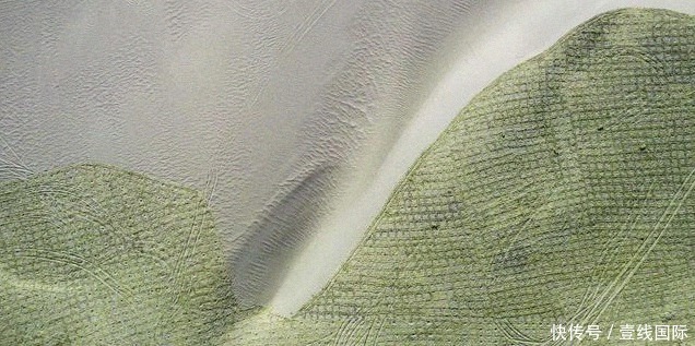 泪目|5.5亿国人参与,马云花巨资打造的蚂蚁森林,2020现状令人泪目